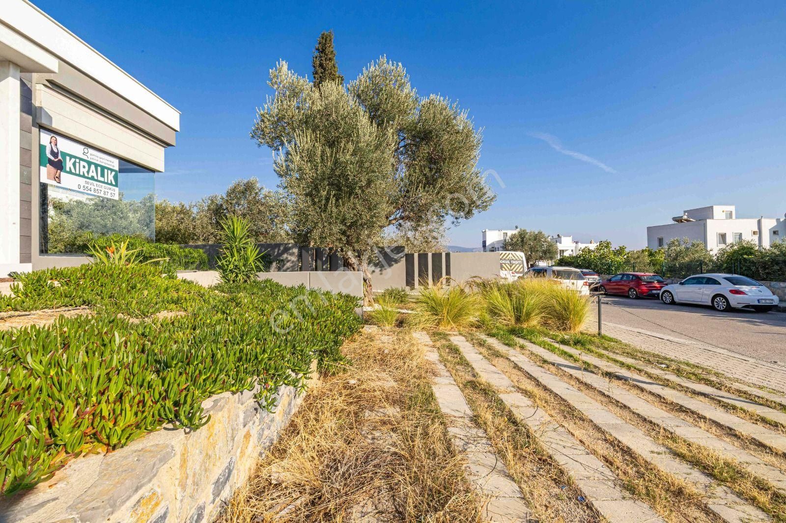 Bodrum Alt Konacıkta Merkezi Konumda Kiralık İşyeri - Görsel 35