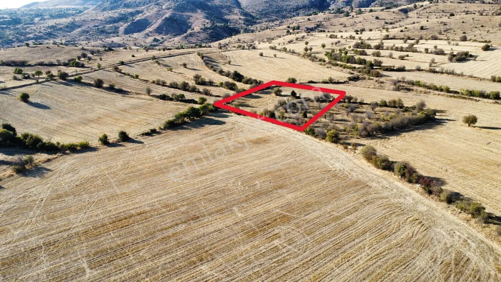 Çorum Merkez Üçköy'de Satılık Tarla