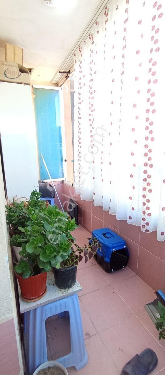 Çamlık Manzaralı 3+1 İçerisi Ful Yapılı Daire - Görsel 12