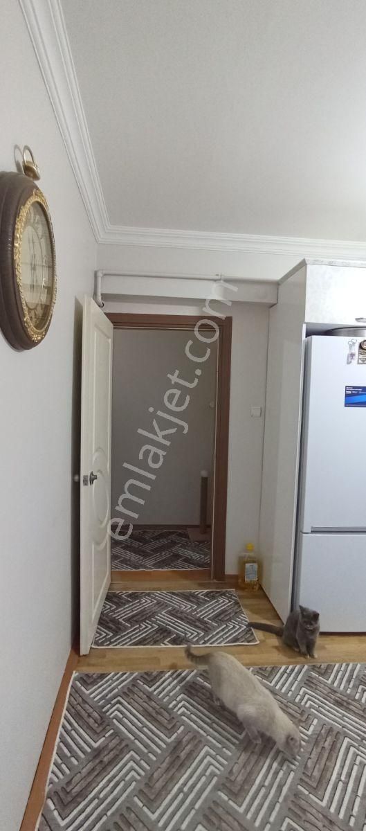 Şehrin Gözde Yerinde Dupleks Acil Satılık - Görsel 22