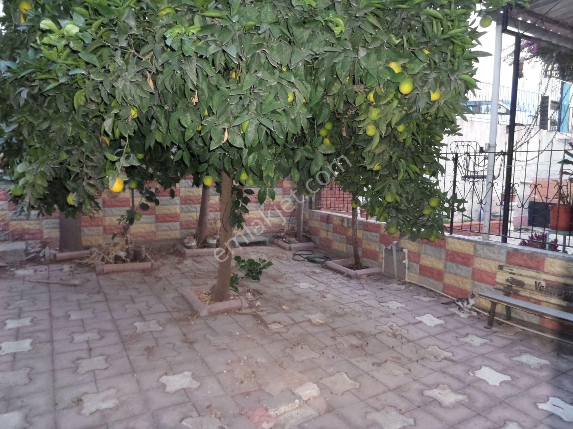 100.yılda ,3+1,kapalı Mut.,bahçeli,satılık Dubleks - Görsel 17