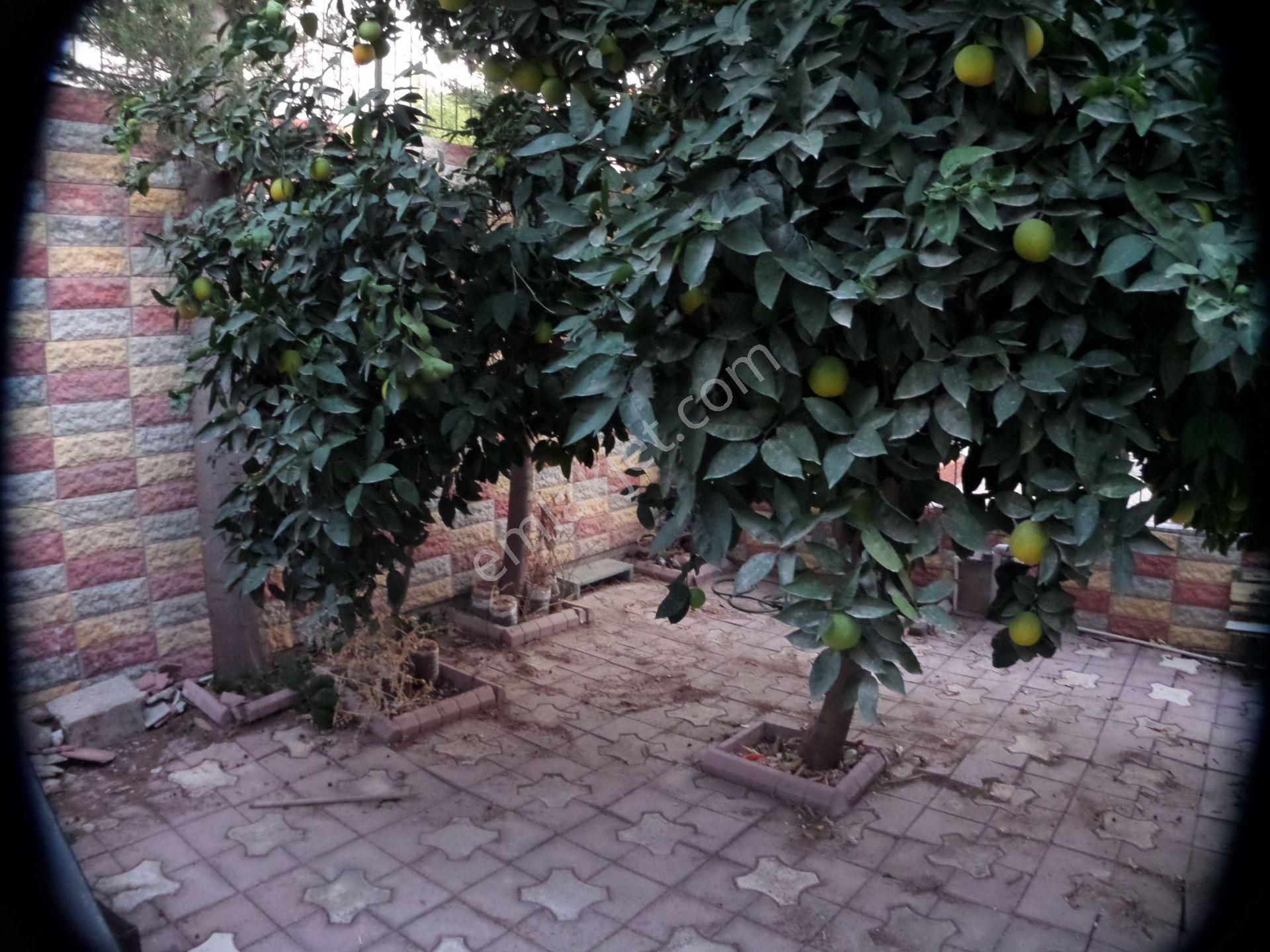 100.yılda ,3+1,kapalı Mut.,bahçeli,satılık Dubleks - Görsel 19