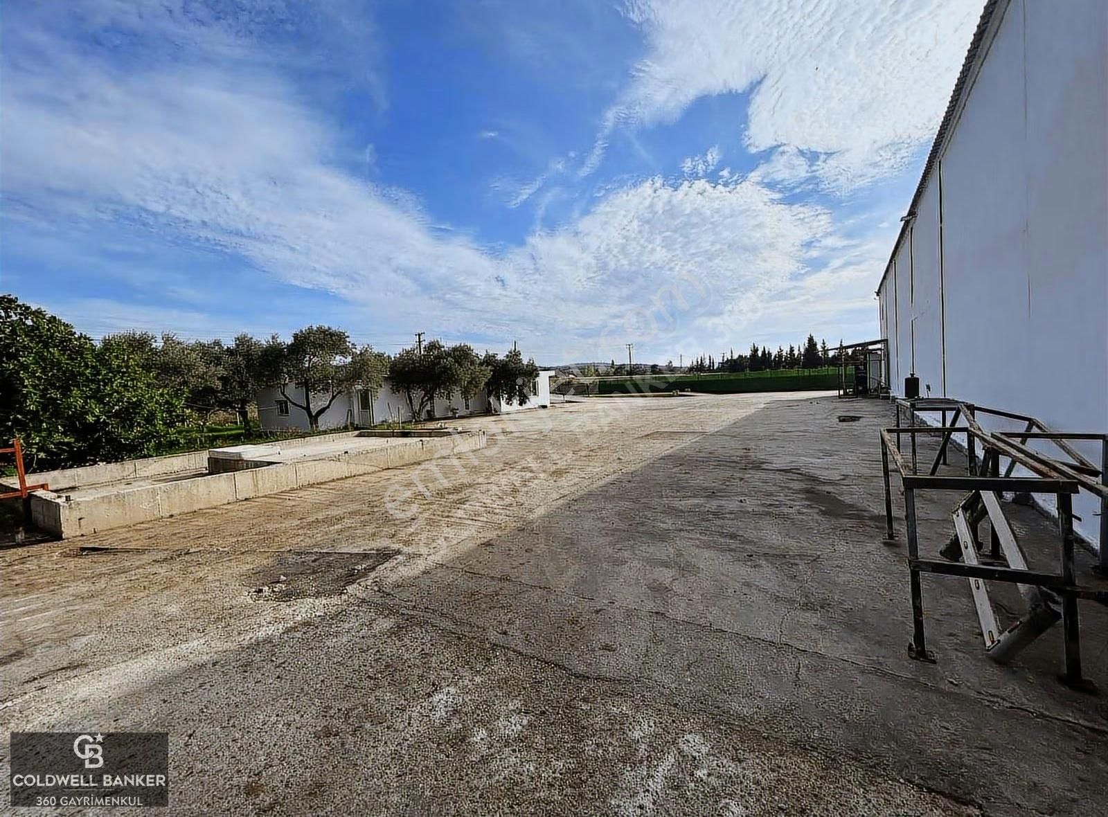 Tam Donanımlı Devren Kiralık Gıda Üretim Ve Soğukhava Tesisi - Görsel 28