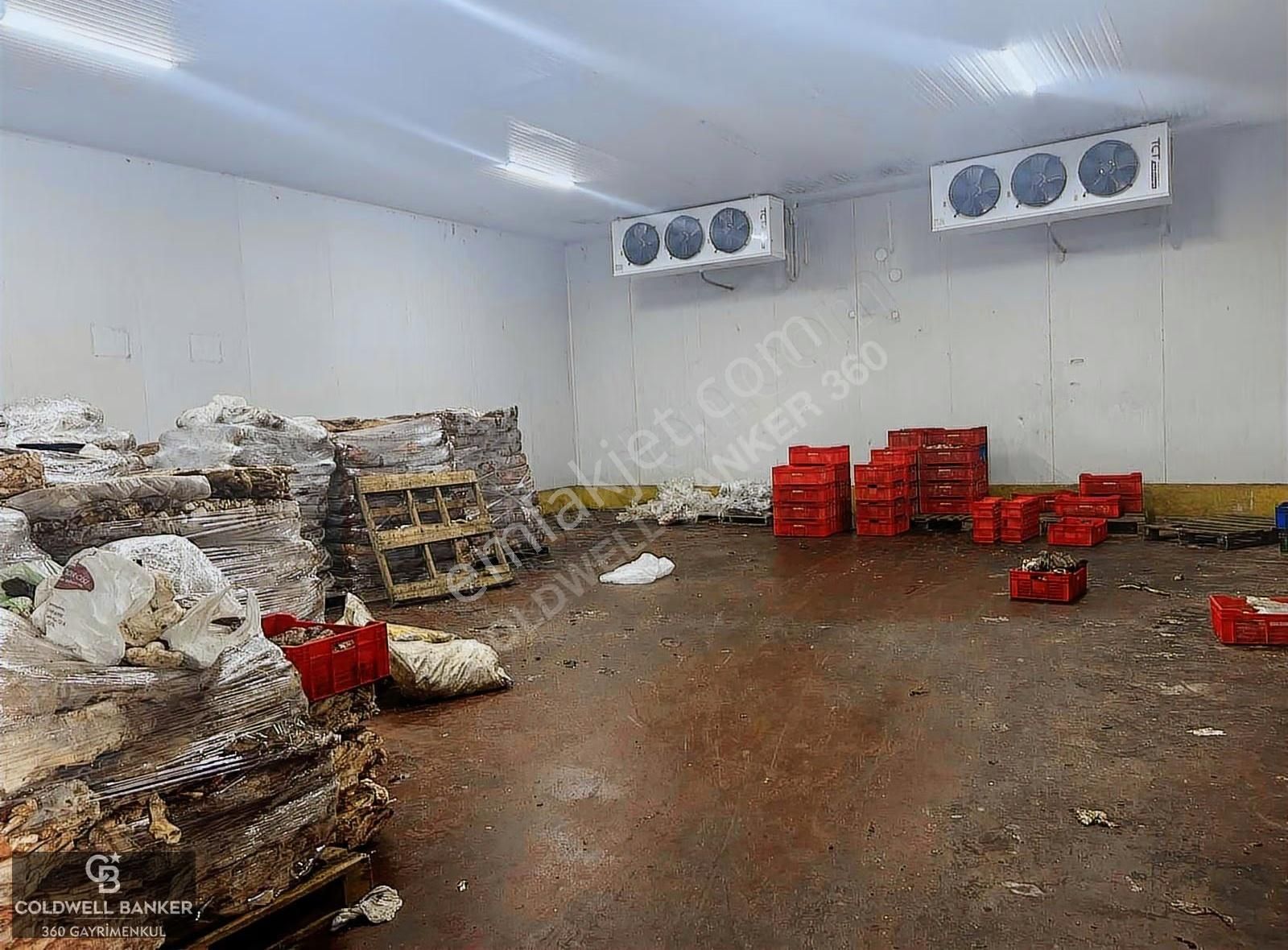 Tam Donanımlı Devren Kiralık Gıda Üretim Ve Soğukhava Tesisi - Görsel 15