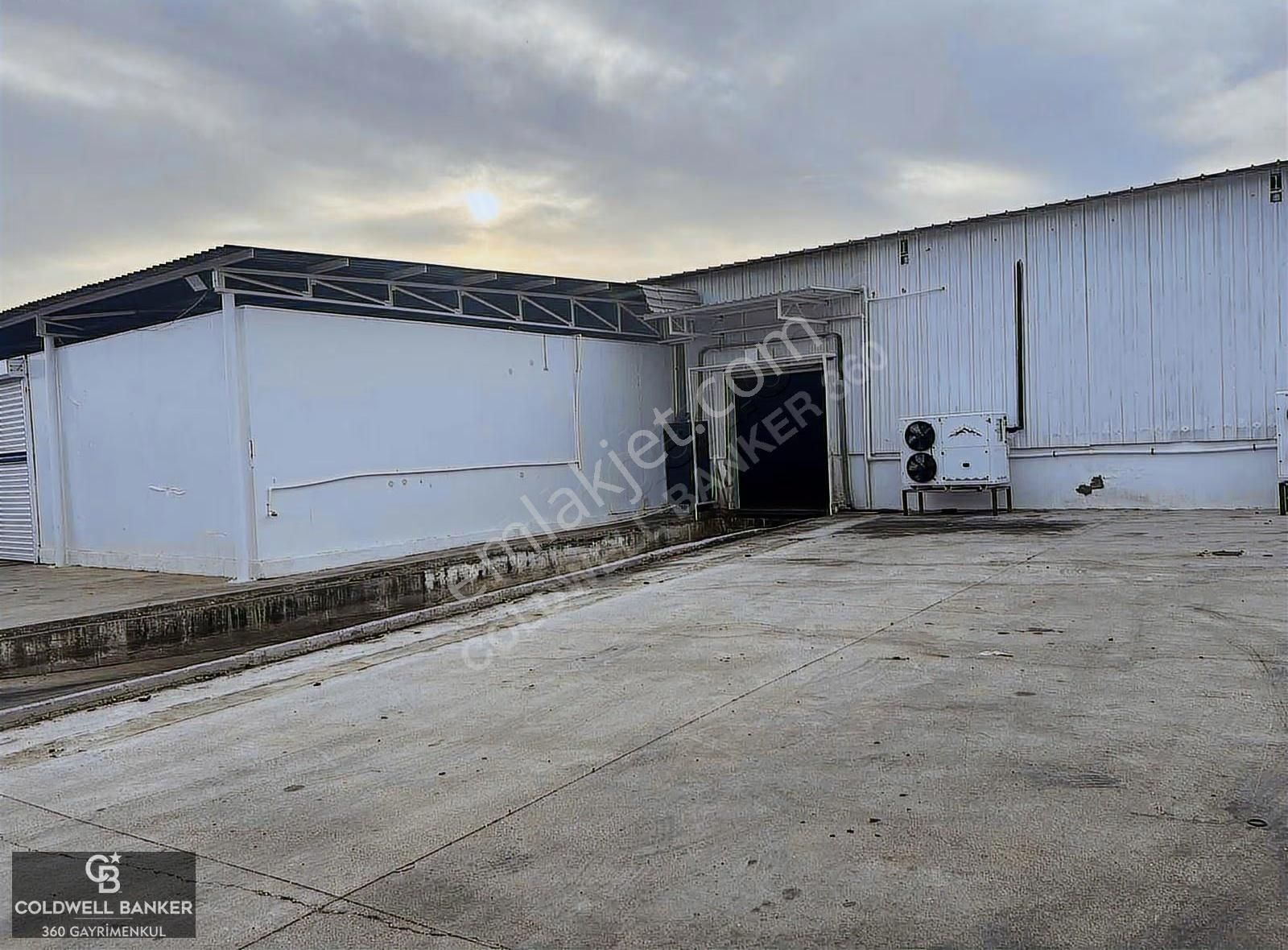 Tam Donanımlı Devren Kiralık Gıda Üretim Ve Soğukhava Tesisi