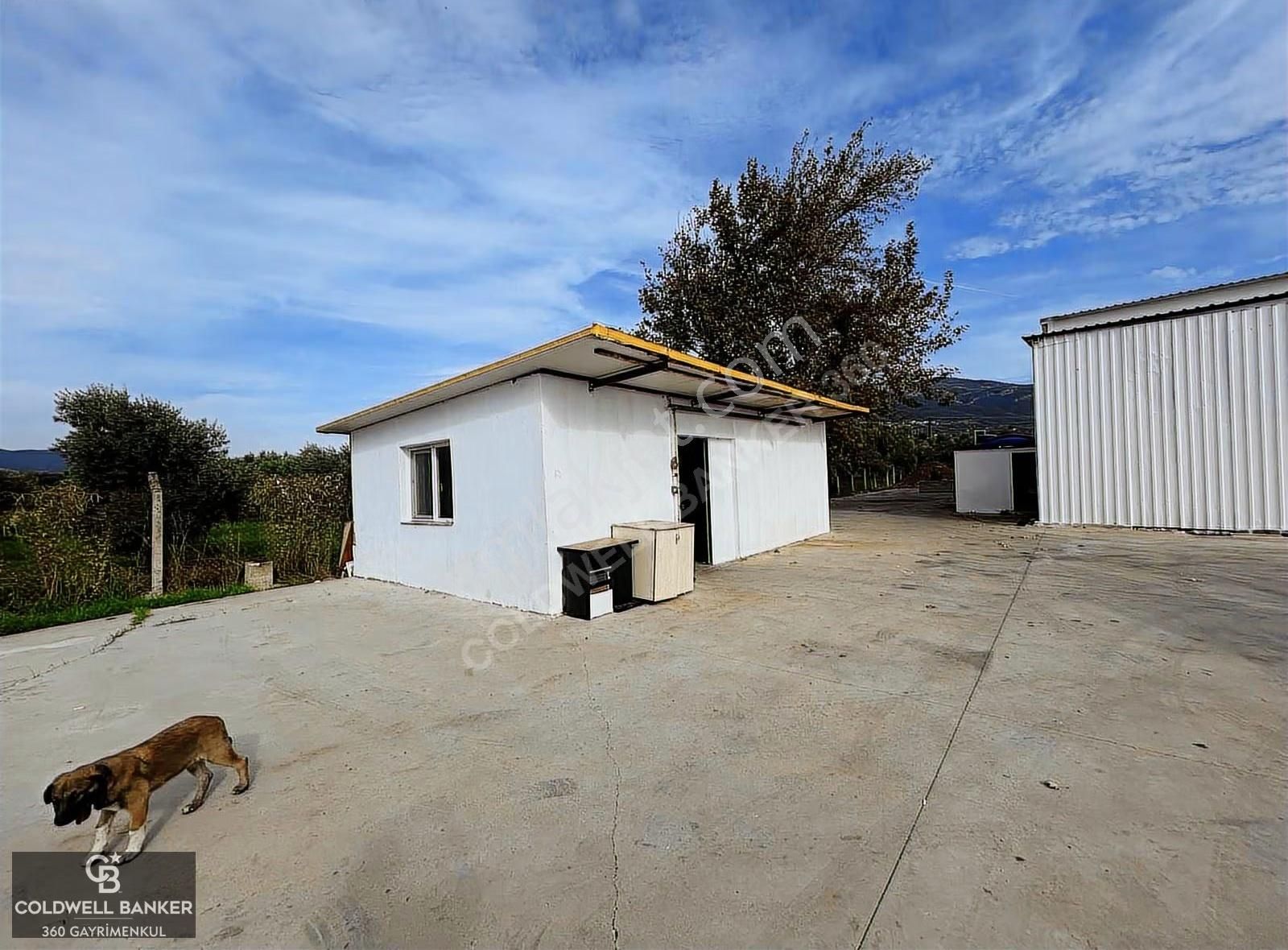 Tam Donanımlı Devren Kiralık Gıda Üretim Ve Soğukhava Tesisi - Görsel 34