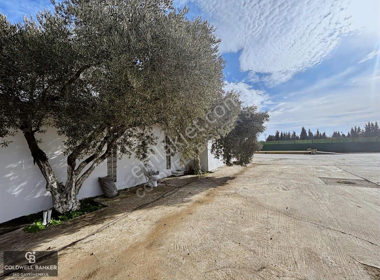 Tam Donanımlı Devren Kiralık Gıda Üretim Ve Soğukhava Tesisi - Görsel 10