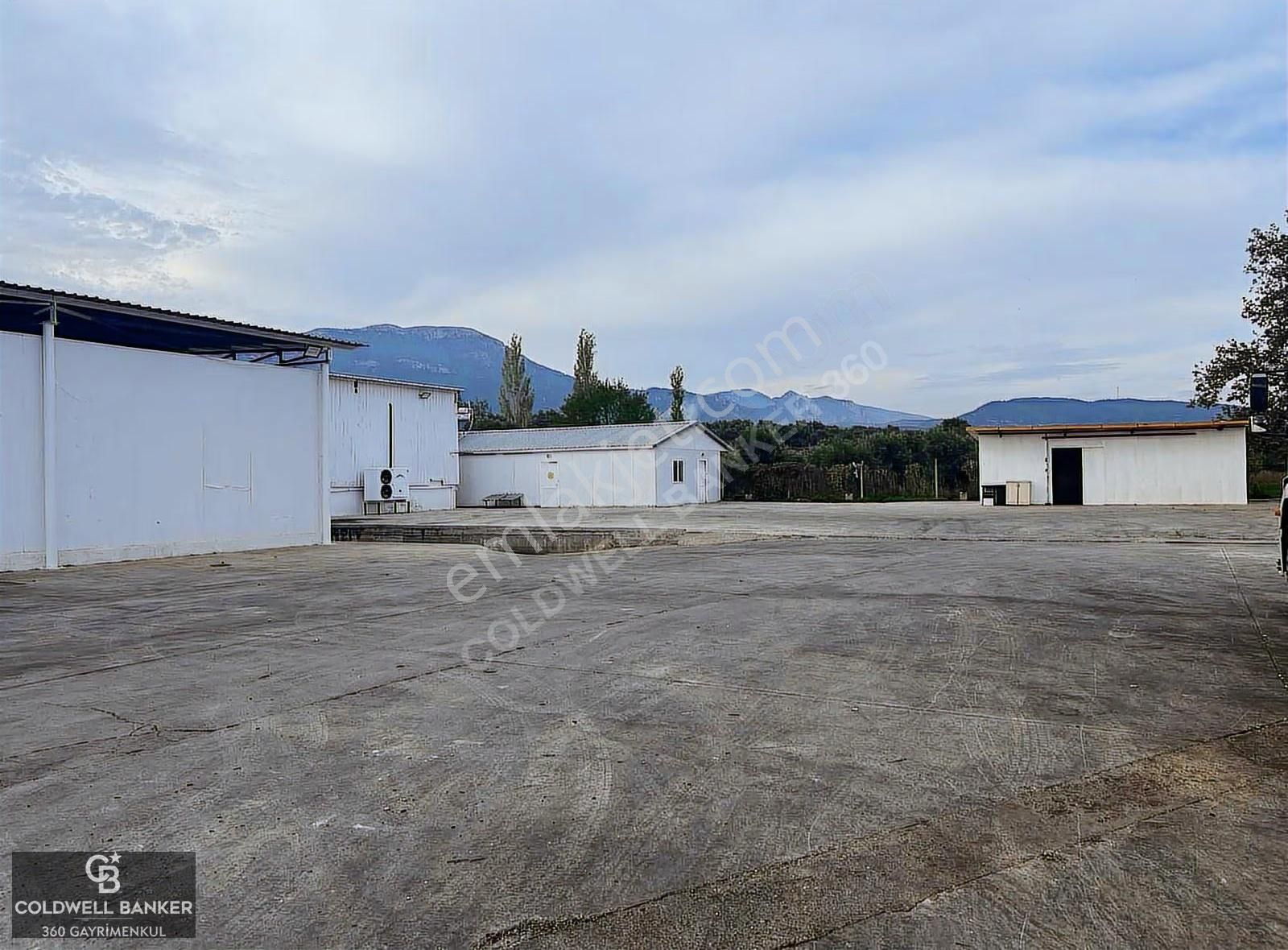 Tam Donanımlı Devren Kiralık Gıda Üretim Ve Soğukhava Tesisi - Görsel 11