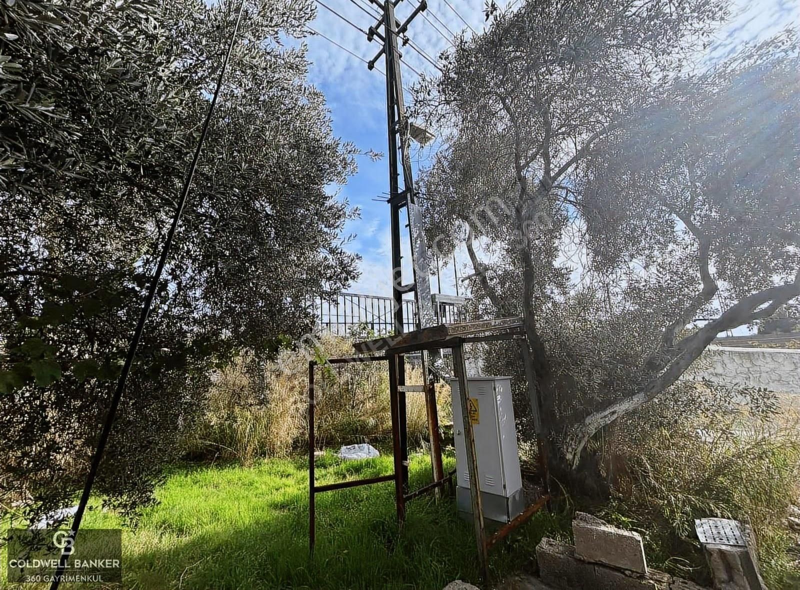 Tam Donanımlı Devren Kiralık Gıda Üretim Ve Soğukhava Tesisi - Görsel 22