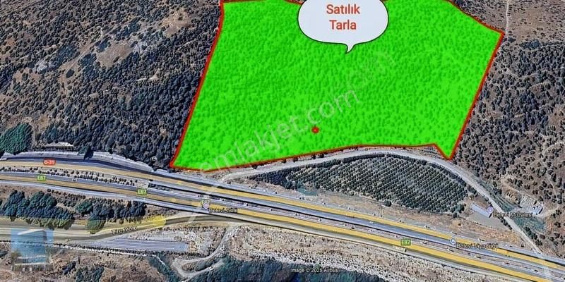 İzmir Selçuk Belevi'de Satılık Tarla - Görsel 8