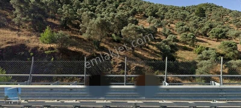 İzmir Selçuk Belevi'de Satılık Tarla - Görsel 2