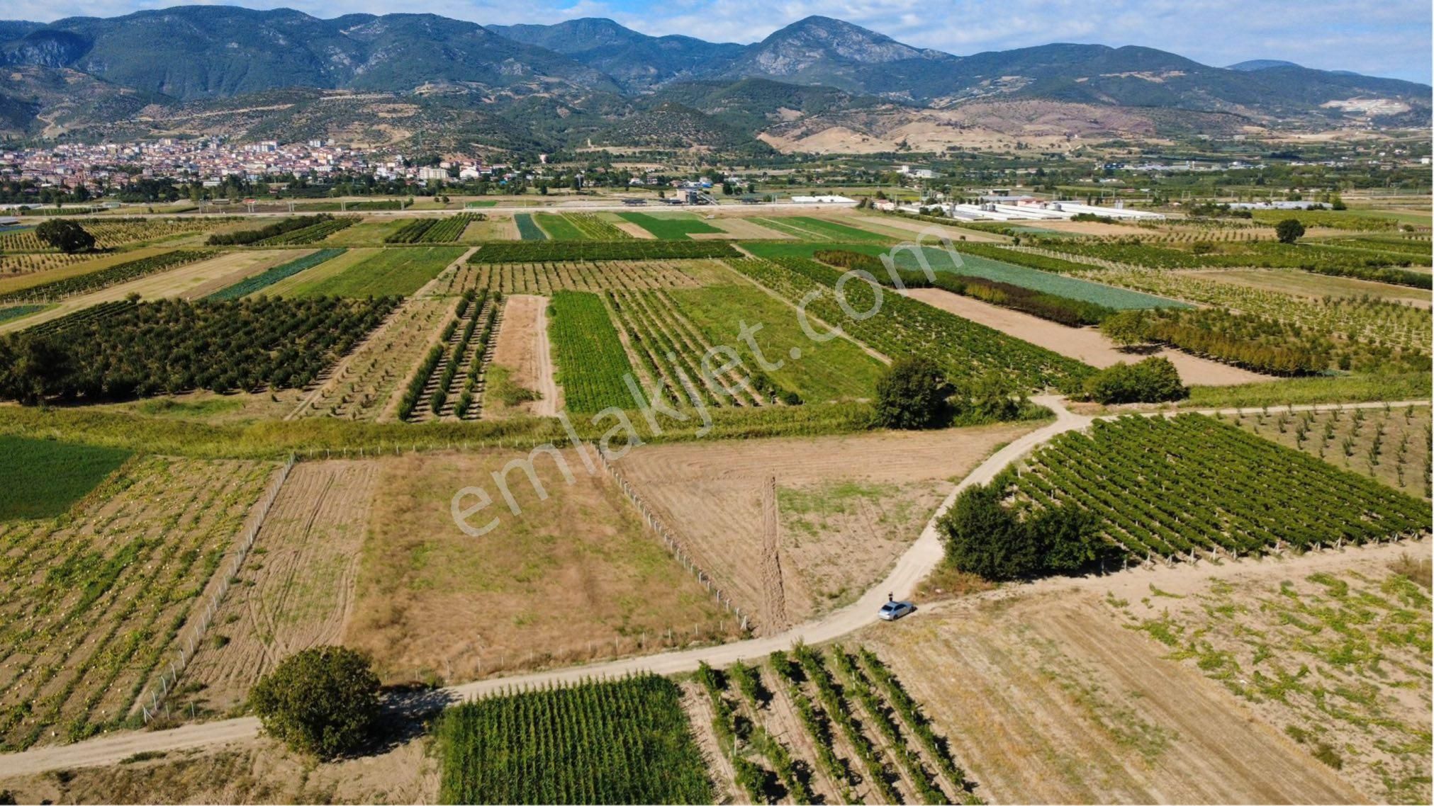 Tapu Sahibinden-süper Konumda-(hobi Bahçesi) - Görsel 6