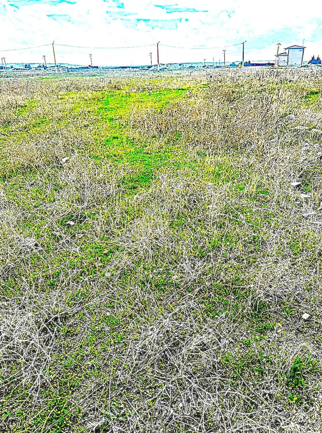 Wisrem Bolu ' Dan Hayrabolu' Da Kelepir Villalık Arsa - Görsel 5