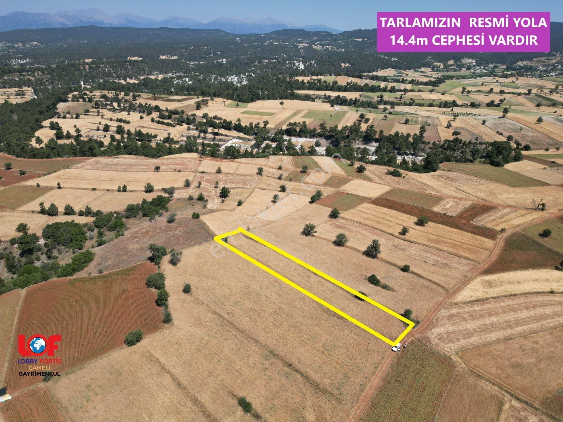 🦋lobby Fortis'ten Satılık Çameli Kalınkoz'da 1465 M² Tarla🦋