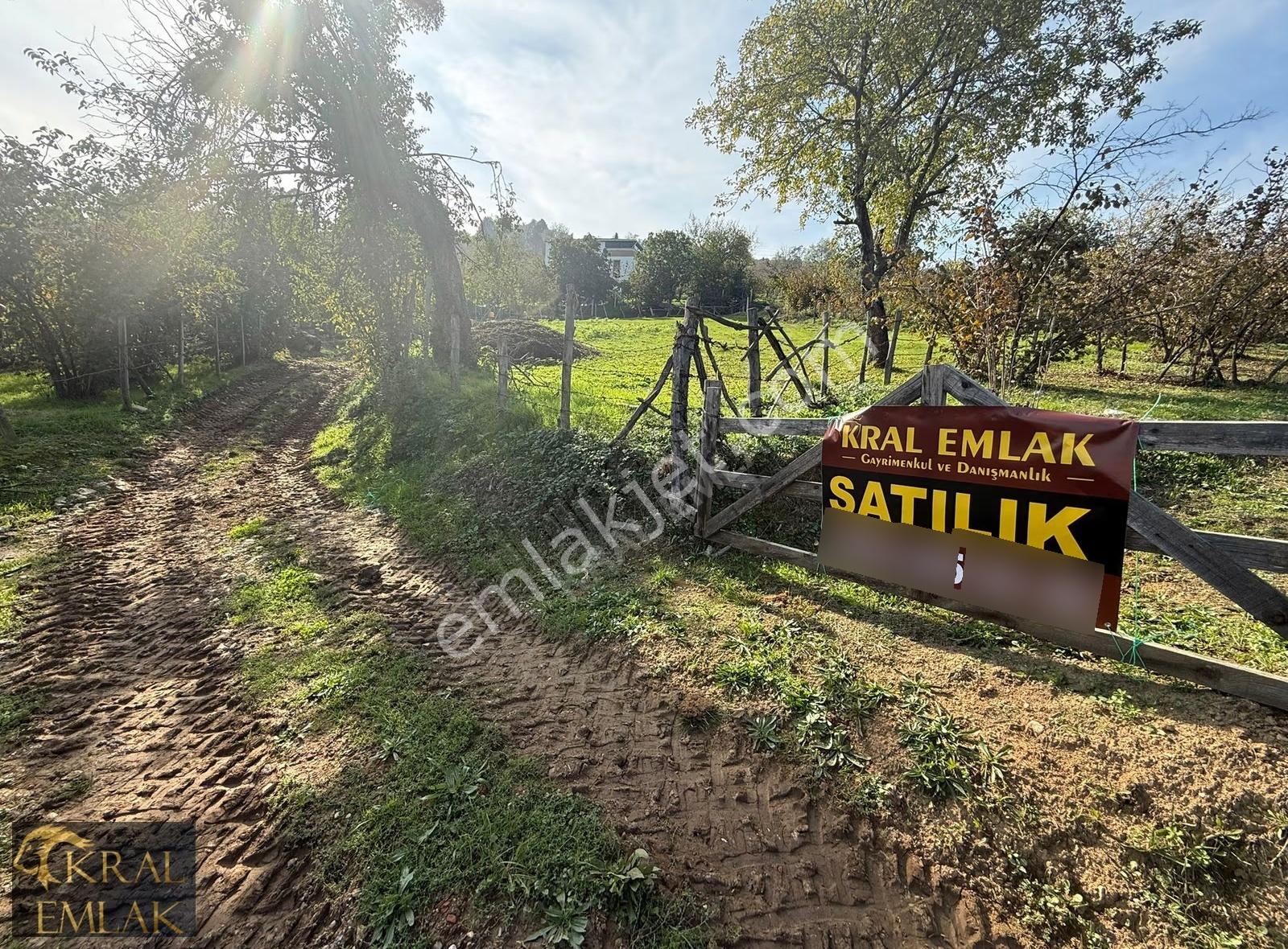Beyören Köyünde İmarlı 3279 M2 Satılık Fındık Bahçesi - Görsel 19