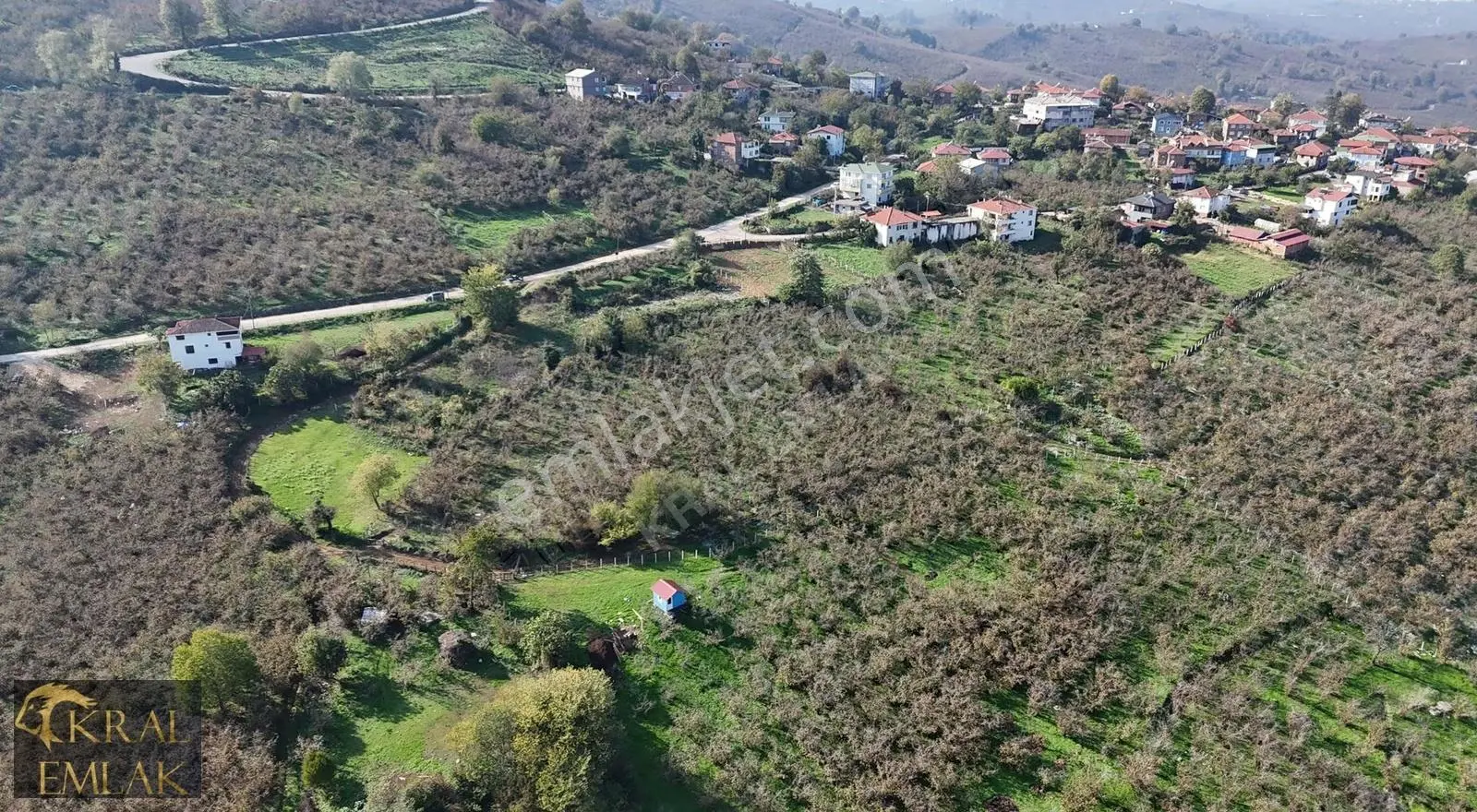 Beyören Köyünde İmarlı 3279 M2 Satılık Fındık Bahçesi - Görsel 3