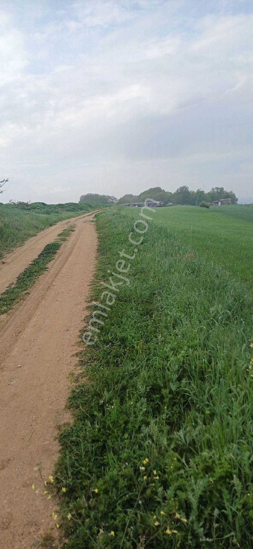 Silivri Kurfallı - Görsel 10