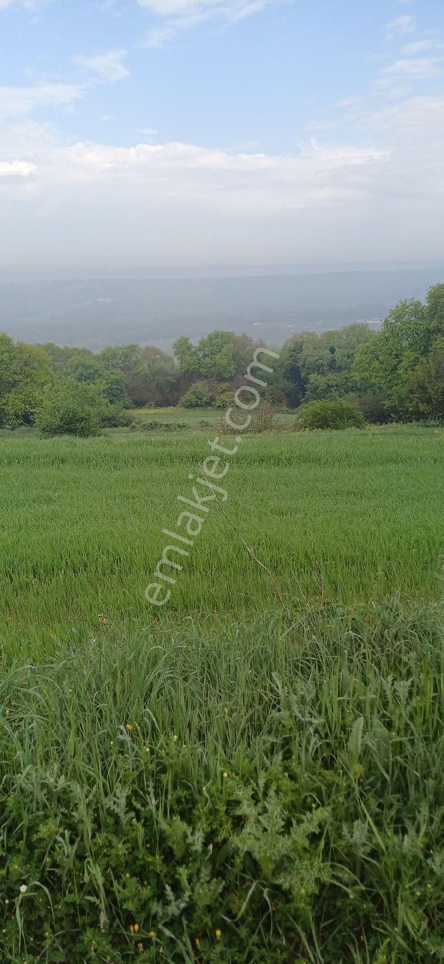 Silivri Kurfallı - Görsel 8