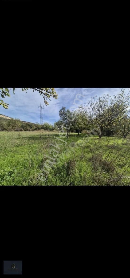 Nova Reality'den Gedelek'te Konut İmar Planında 3 Tapu Arazi - Görsel 2