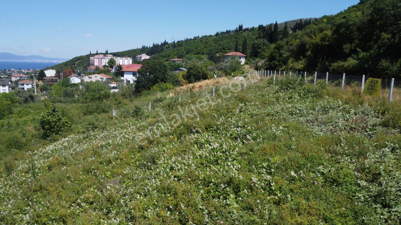 Engindeniz'den Dereköy Kavak'ta Satılık Köprü Manzaralı Arsa... - Görsel 24
