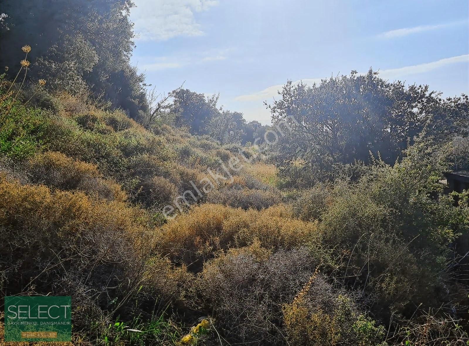 Marmaris Söğüt Köyünde İçinde Ev Olan 904 M² Tarla - Görsel 19