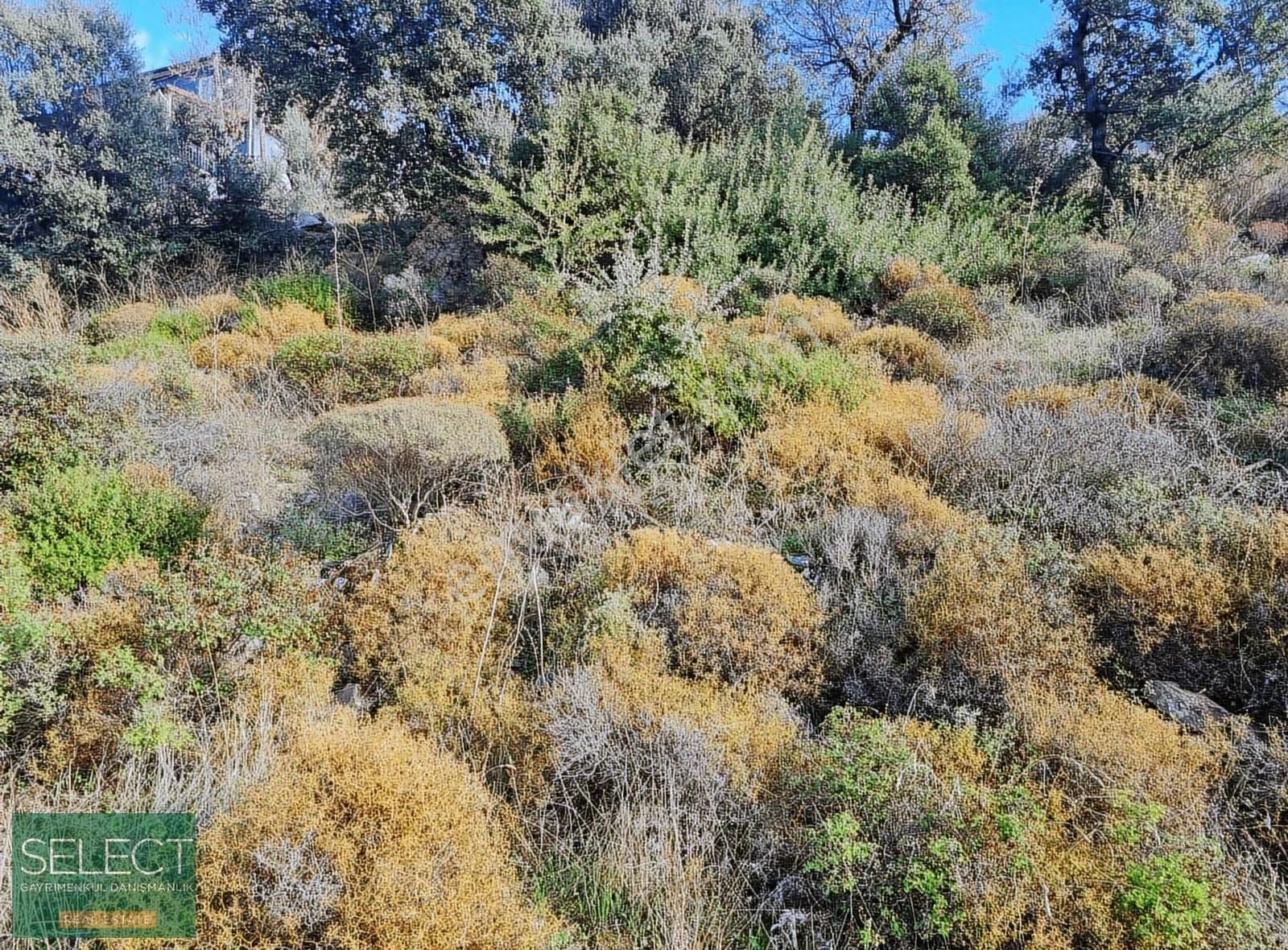 Marmaris Söğüt Köyünde İçinde Ev Olan 904 M² Tarla - Görsel 22