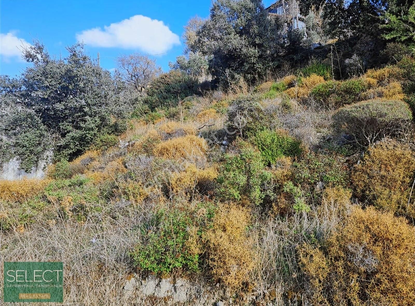 Marmaris Söğüt Köyünde İçinde Ev Olan 904 M² Tarla - Görsel 23