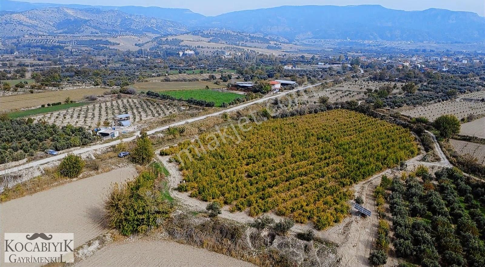 Kocabıyık Gayrimenkul'den Akköy 13.500m2 Hicaz Nar Bahçesi - Görsel 25
