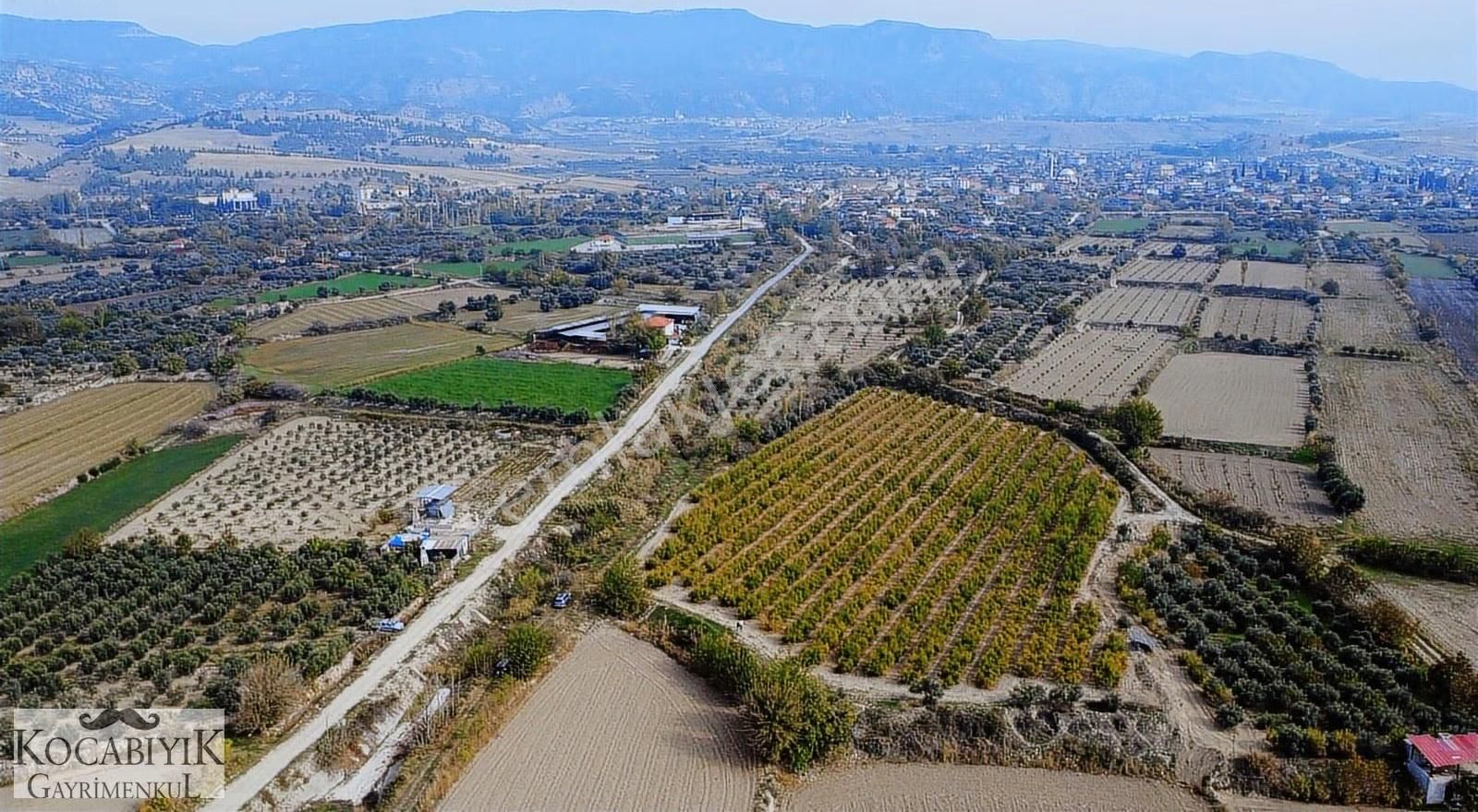 Kocabıyık Gayrimenkul'den Akköy 13.500m2 Hicaz Nar Bahçesi - Görsel 28