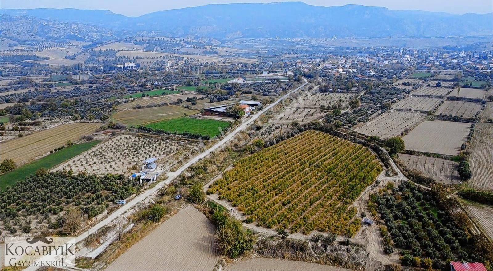 Kocabıyık Gayrimenkul'den Akköy 13.500m2 Hicaz Nar Bahçesi - Görsel 14