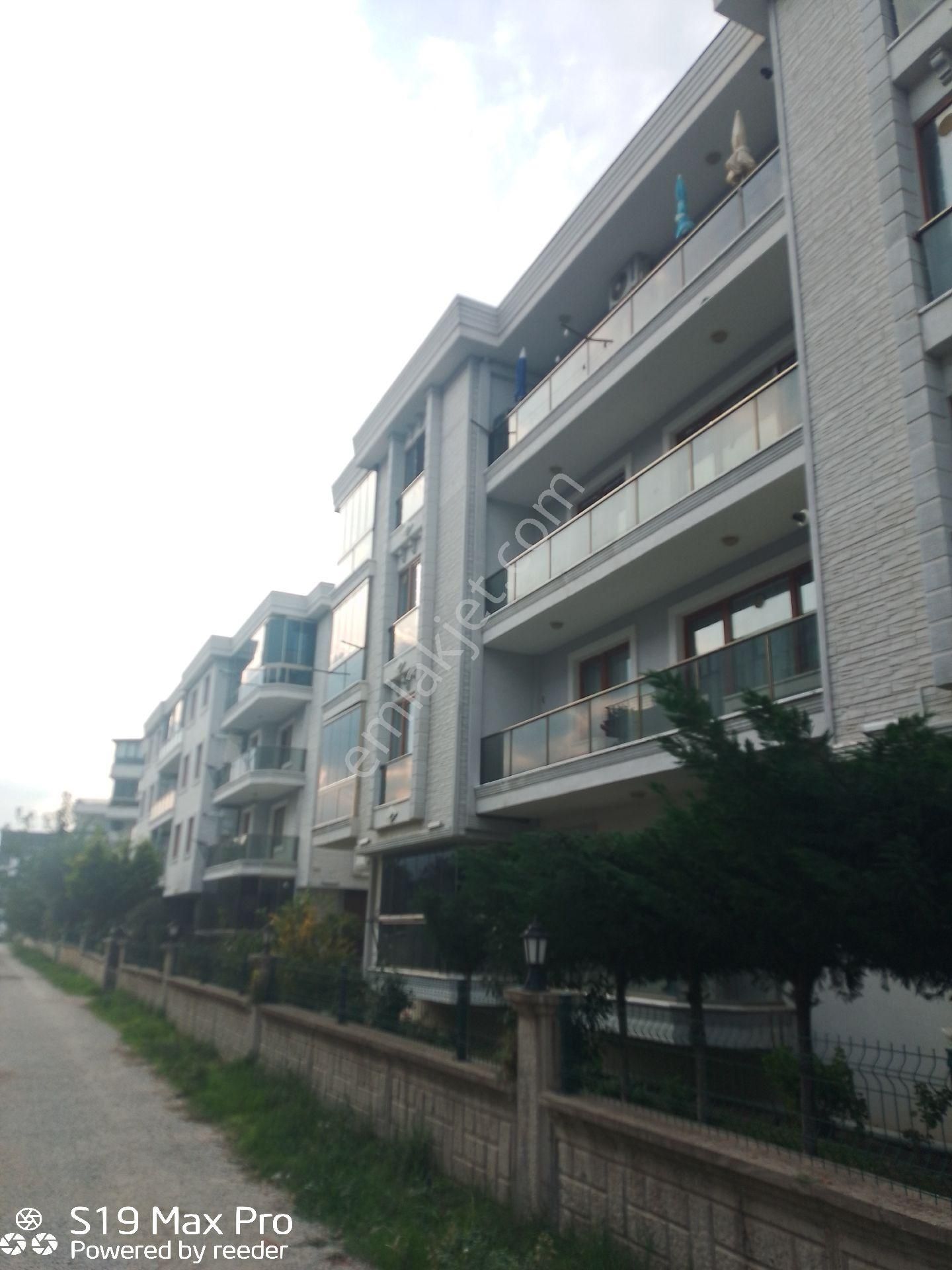 Çınarcık Plaşlar Mevkii Havuzlu Sitede Geniş 1+1 Kapalı Cam Balkonlu Satılık Daire - Görsel 11