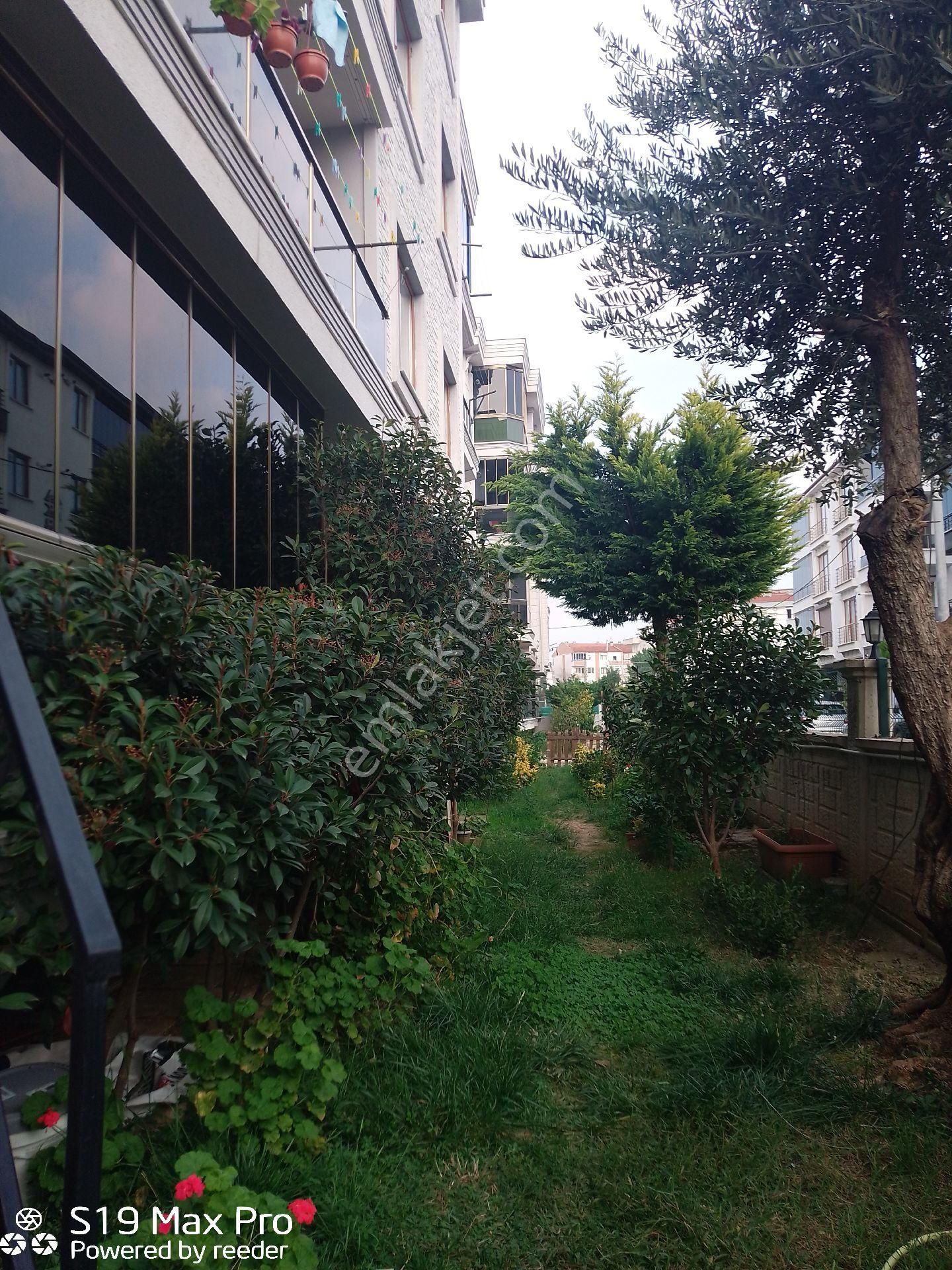 Çınarcık Plaşlar Mevkii Havuzlu Sitede Geniş 1+1 Kapalı Cam Balkonlu Satılık Daire - Görsel 12