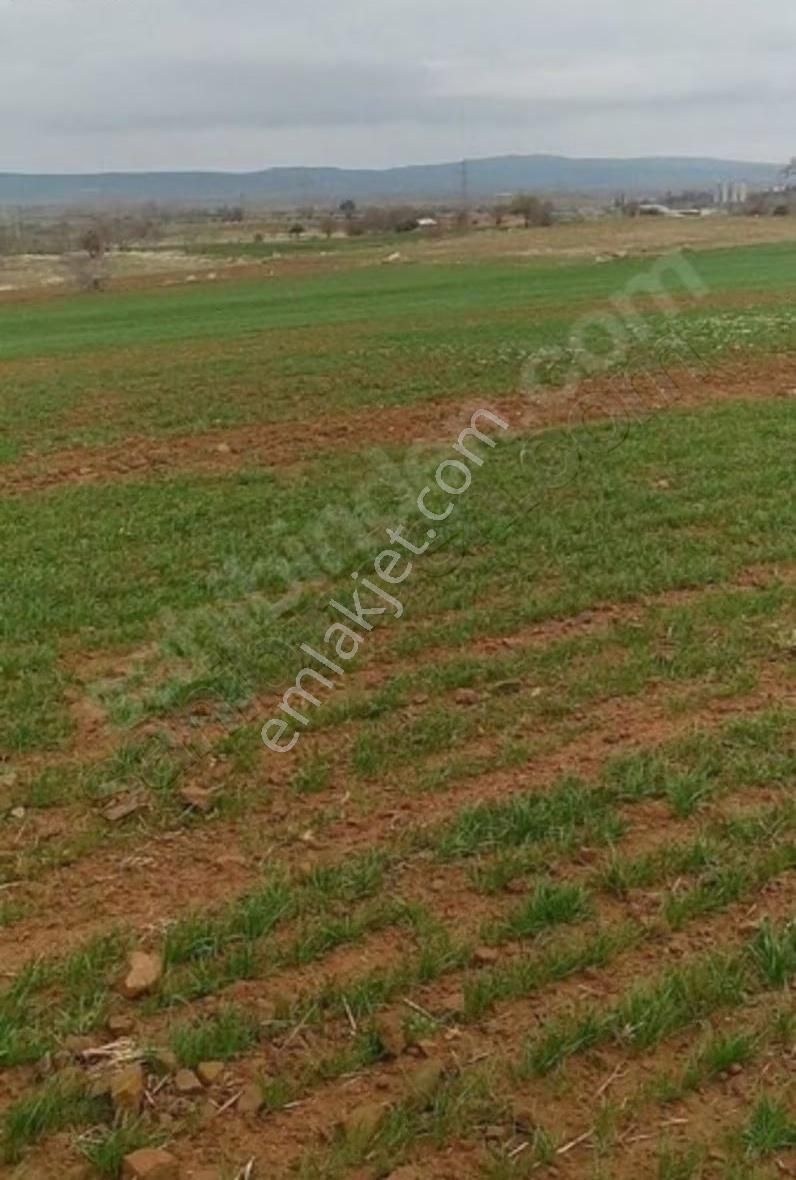 Çanakkale Gelibolu'da Sanayi İmarlı Köye Yakın Arsa - Görsel 2