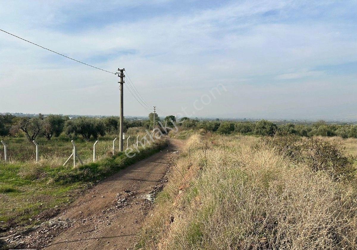 Manisa Turgutlu,da 13780 M2 Sanayi İmarına Bitişik Arazi - Görsel 23