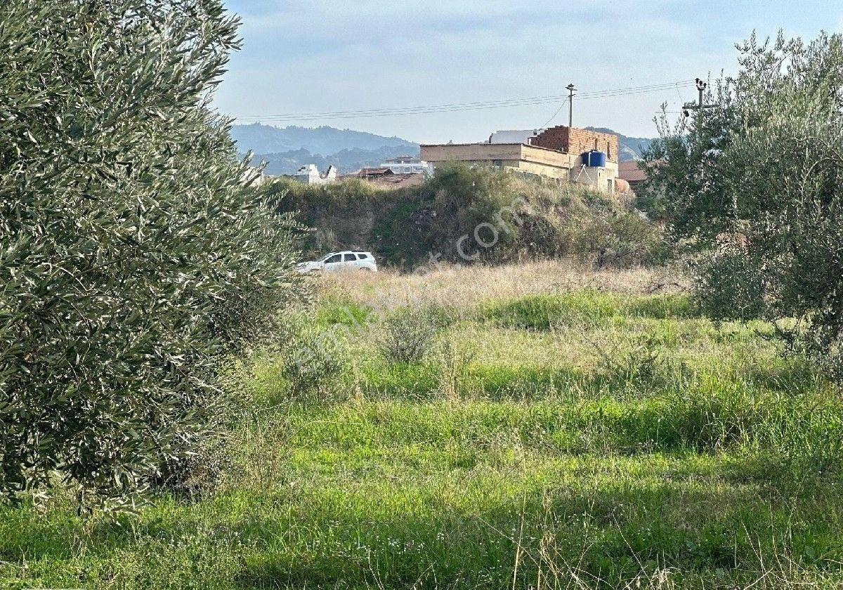 Manisa Turgutlu,da 13780 M2 Sanayi İmarına Bitişik Arazi - Görsel 35