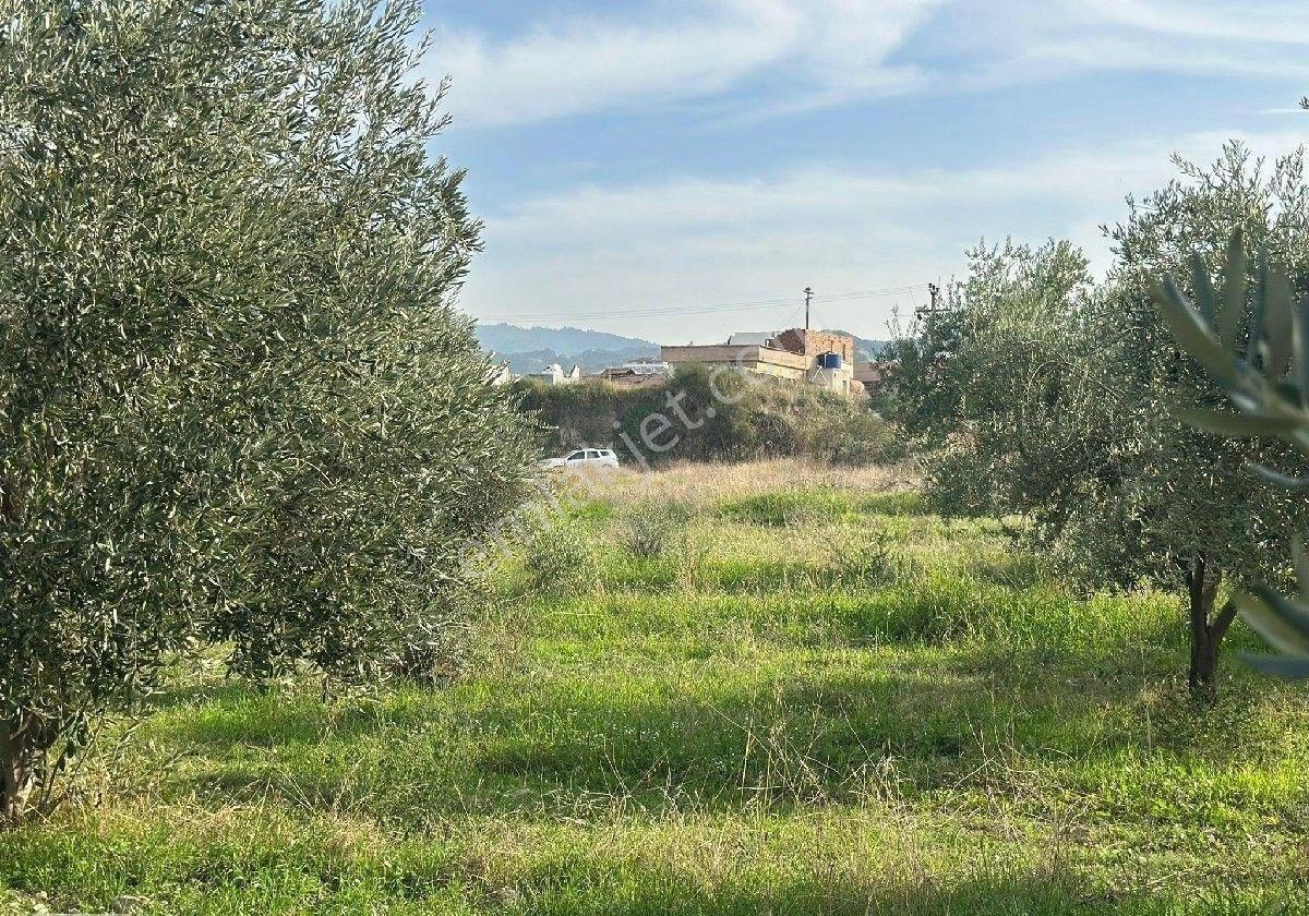 Manisa Turgutlu,da 13780 M2 Sanayi İmarına Bitişik Arazi - Görsel 28