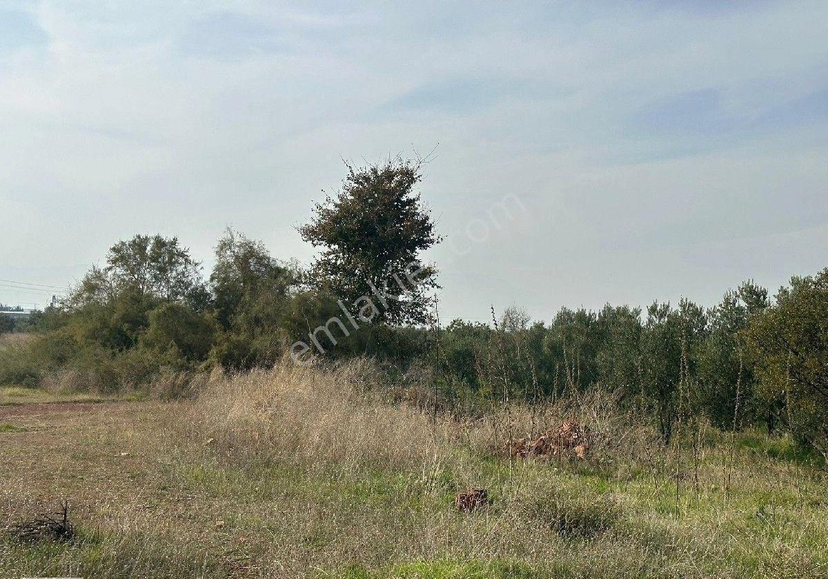 Manisa Turgutlu,da 13780 M2 Sanayi İmarına Bitişik Arazi - Görsel 26