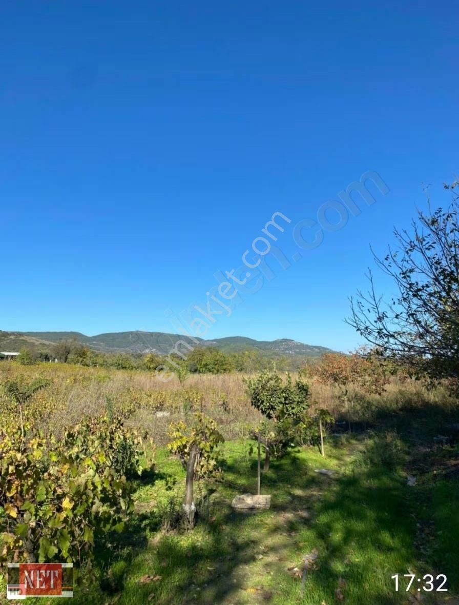 Tek Tapu,75 M Yapı Hakkı,elektrik,su,yol Var