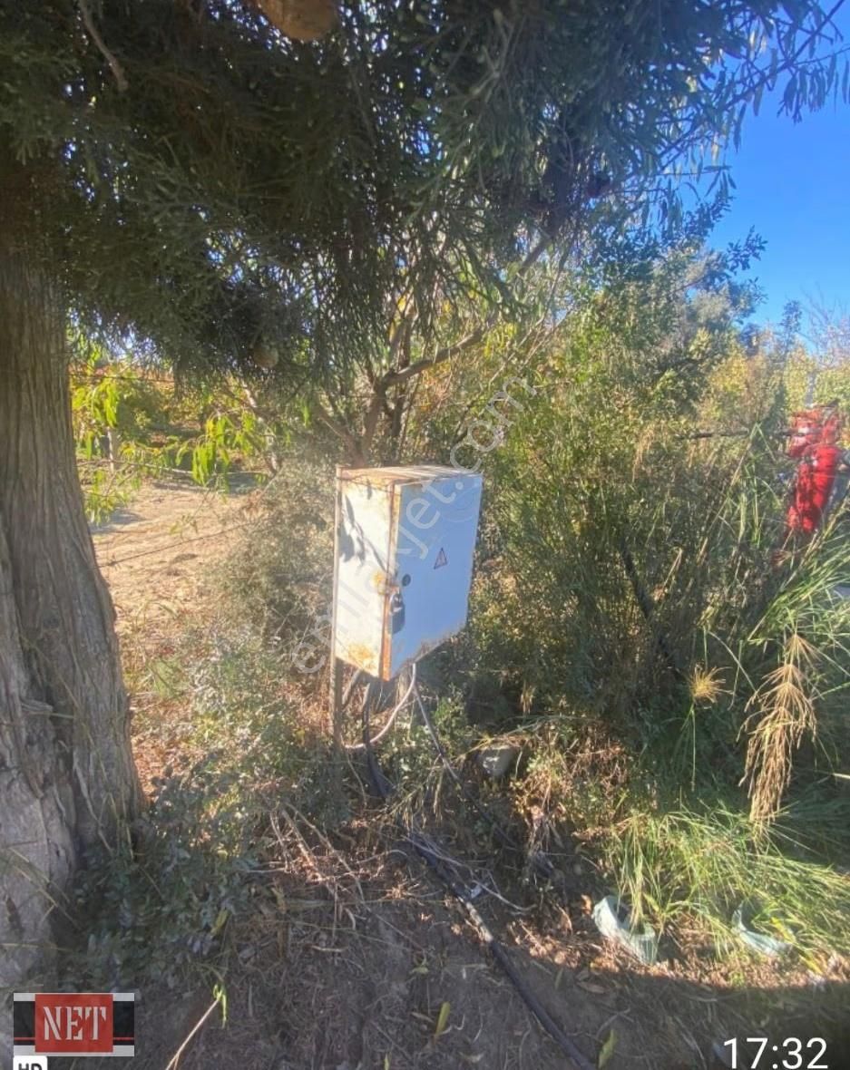 Tek Tapu,75 M Yapı Hakkı,elektrik,su,yol Var - Görsel 3