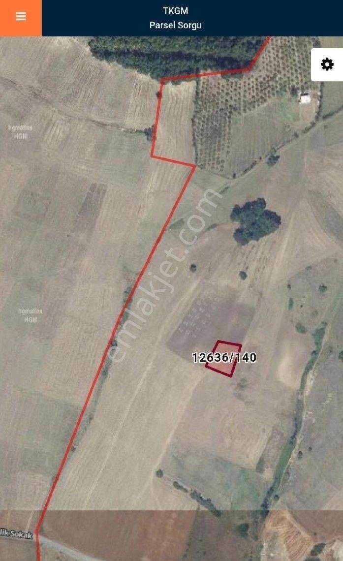 Salur Gayrimenkul Den Atakum Kamalı Dan Satılık Tarla