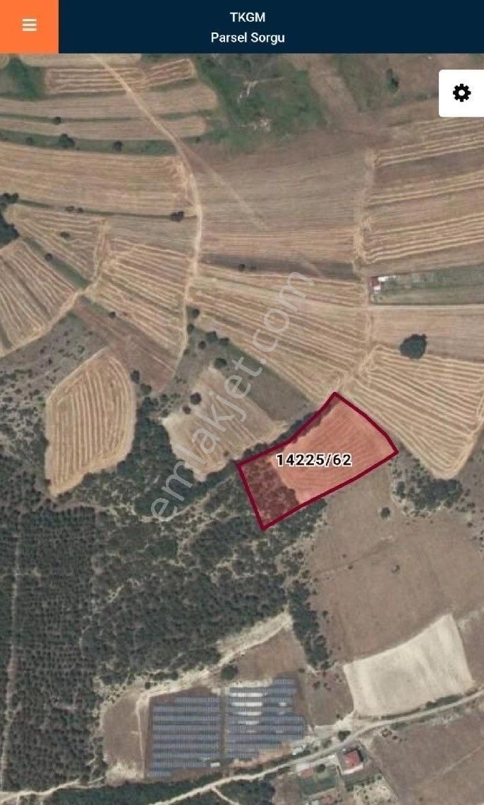 Salur Gayrimenkul Den Satılık Tarla