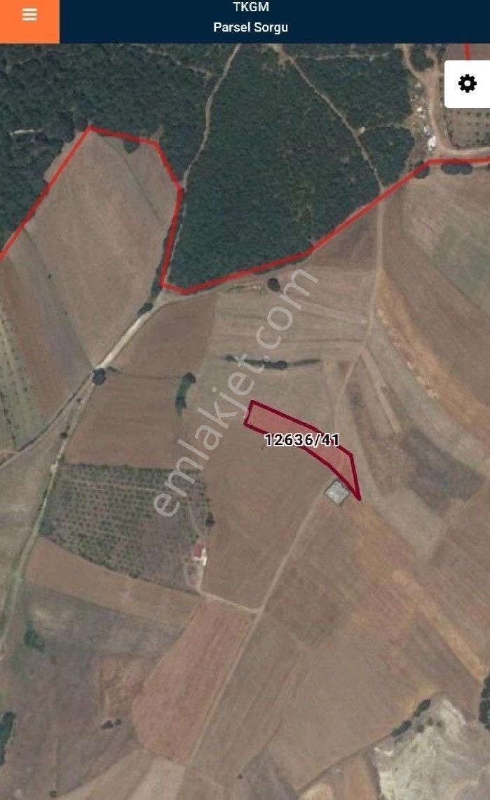 Salur Gayrimenkul Den Kamalıda Satılık Tarla