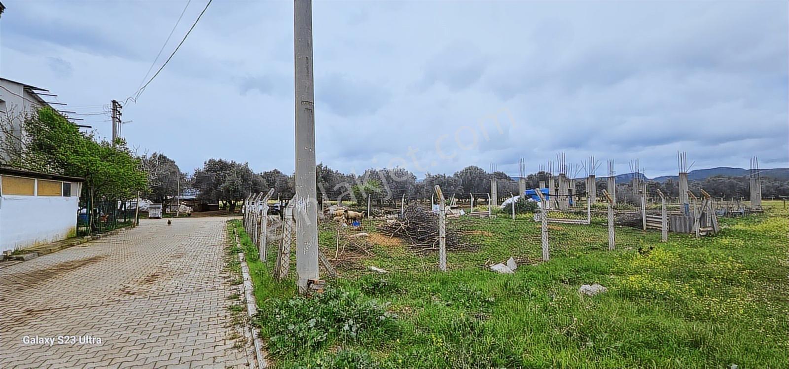 Görece Merkezde Yatırımlık Villa Arsası - Görsel 24