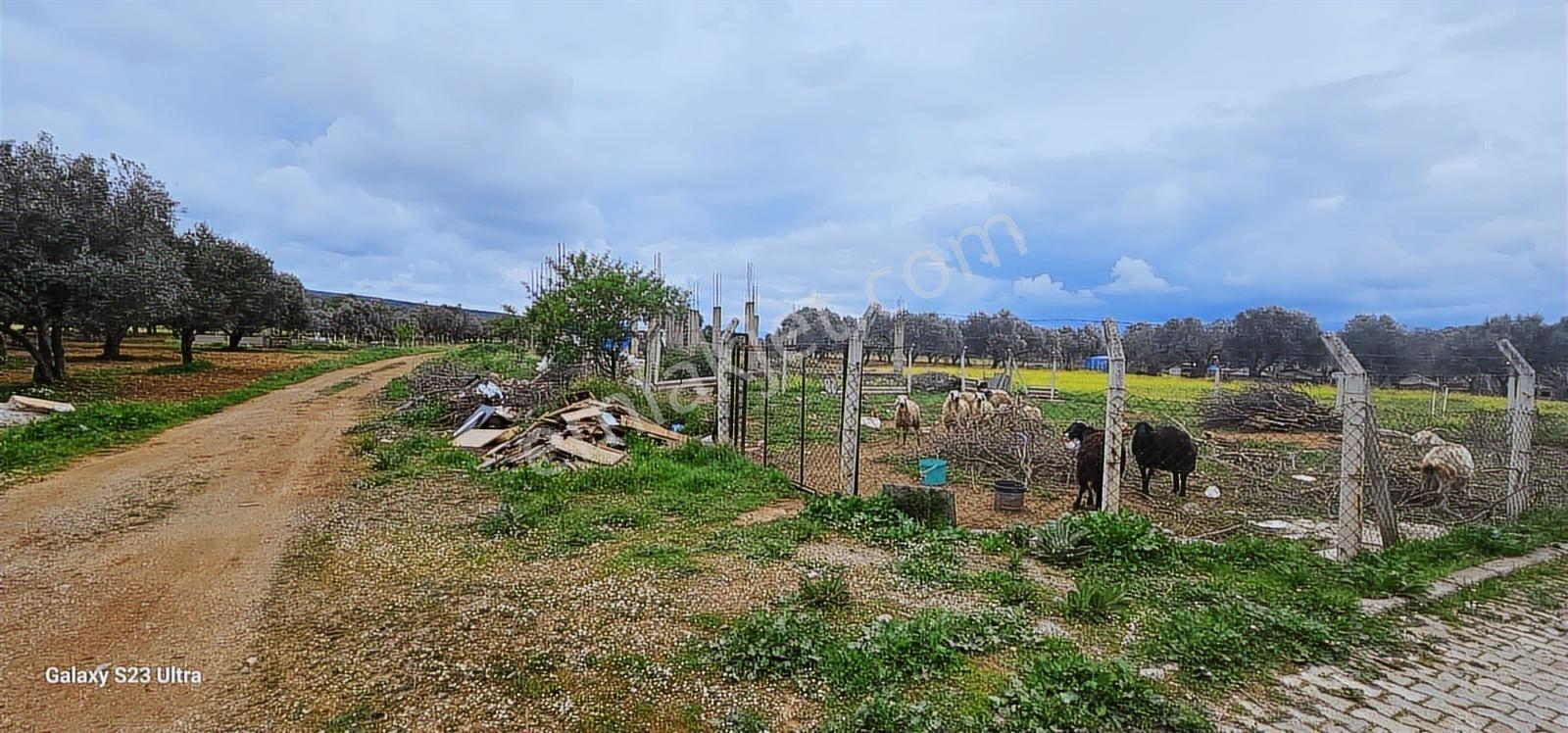 Görece Merkezde Yatırımlık Villa Arsası - Görsel 29