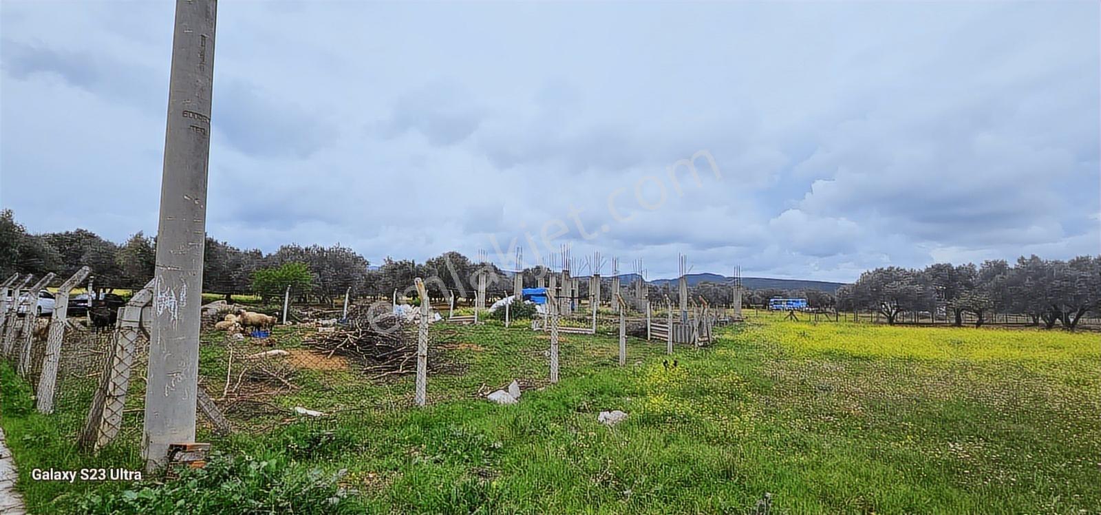 Görece Merkezde Yatırımlık Villa Arsası - Görsel 22
