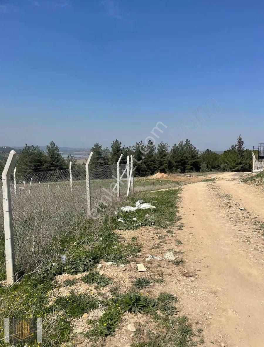 Sağlam'dan Çınarlı'da Kaçırılmayacak Cazip Arsa