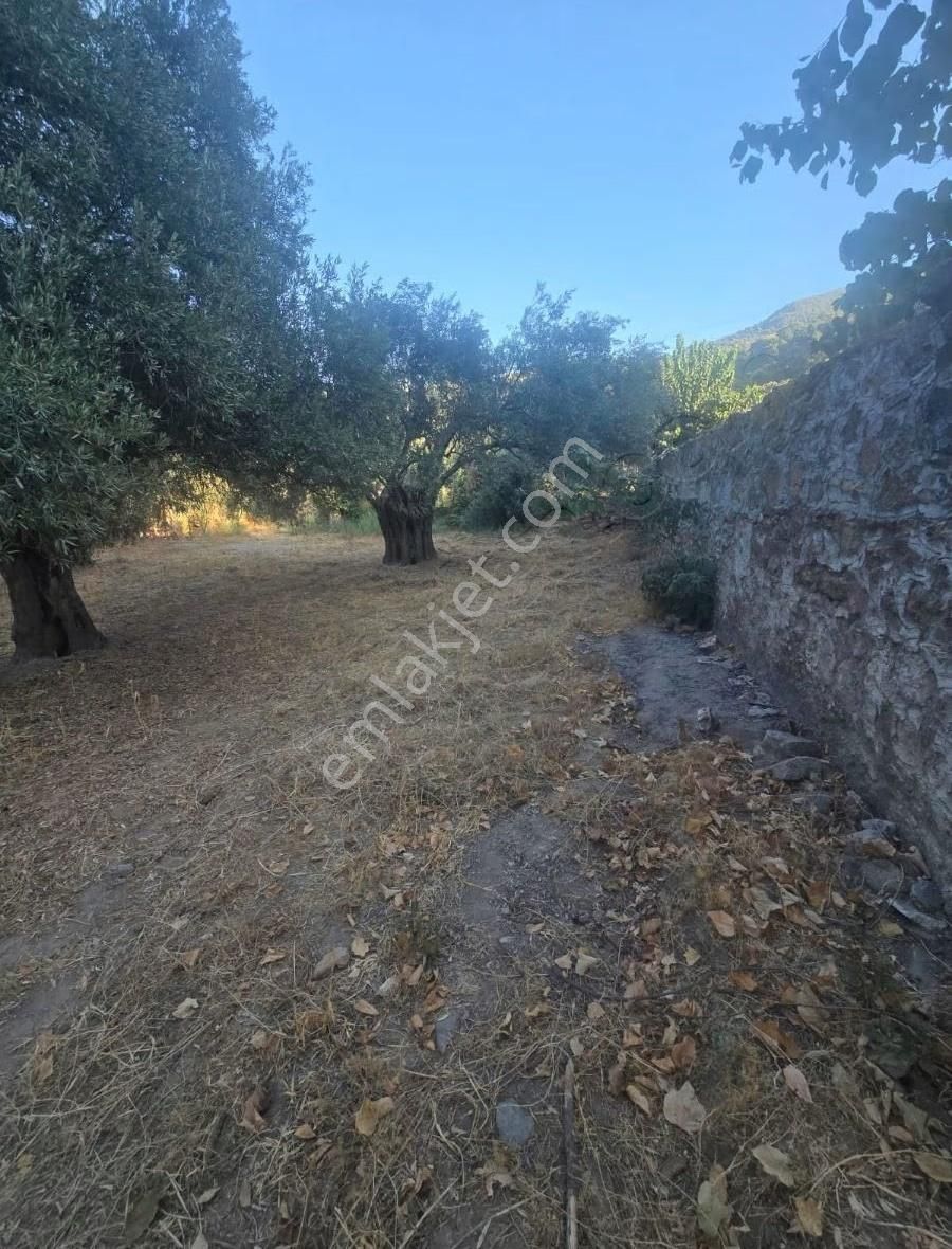 Tire Arslan Emlaktan Büyükkale Köy İçinde Avlulu Ev Ve Arsa - Görsel 7