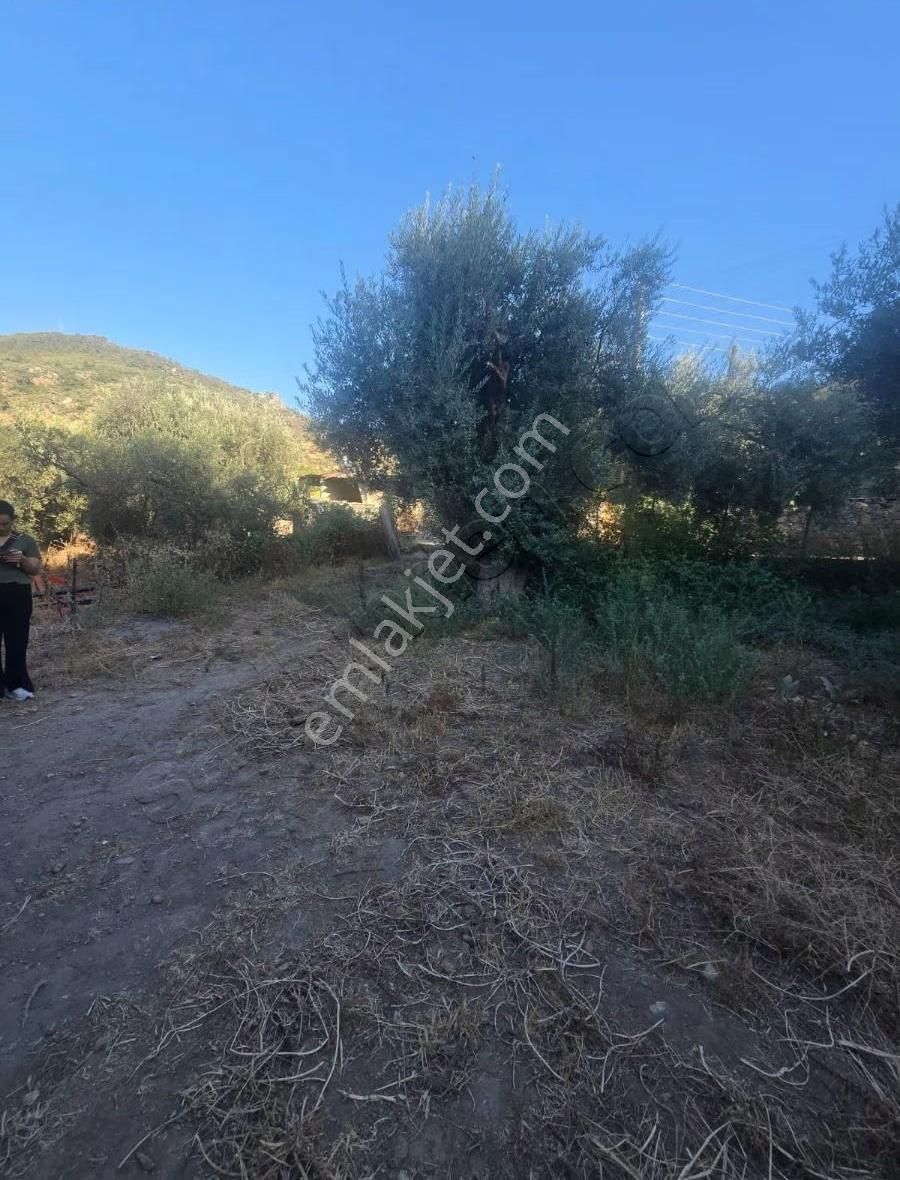 Tire Arslan Emlaktan Büyükkale Köy İçinde Avlulu Ev Ve Arsa - Görsel 22