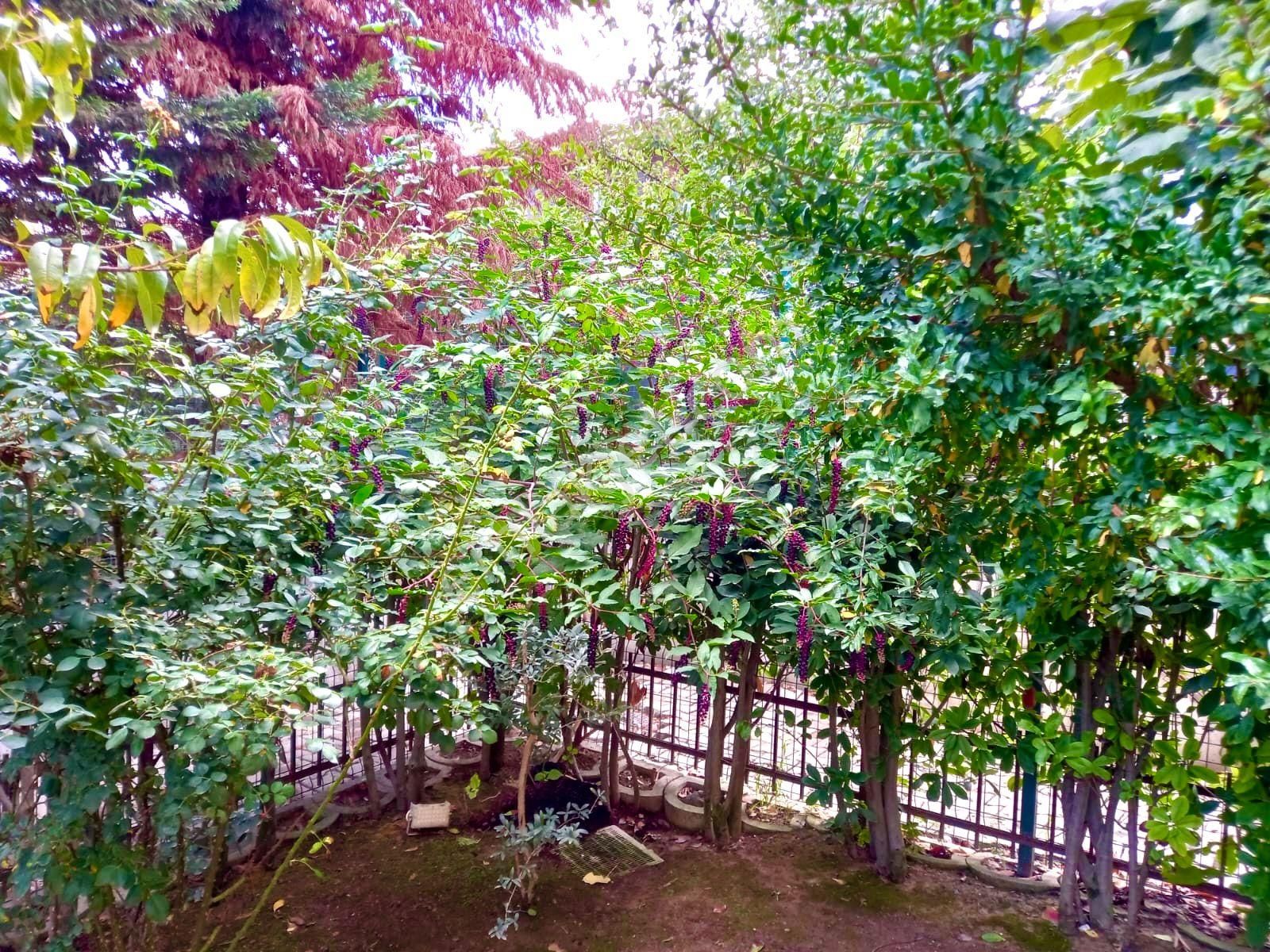 Kelebekler Vadisinde Villa Tadında Satılık 3+1 Dubleks - Görsel 23