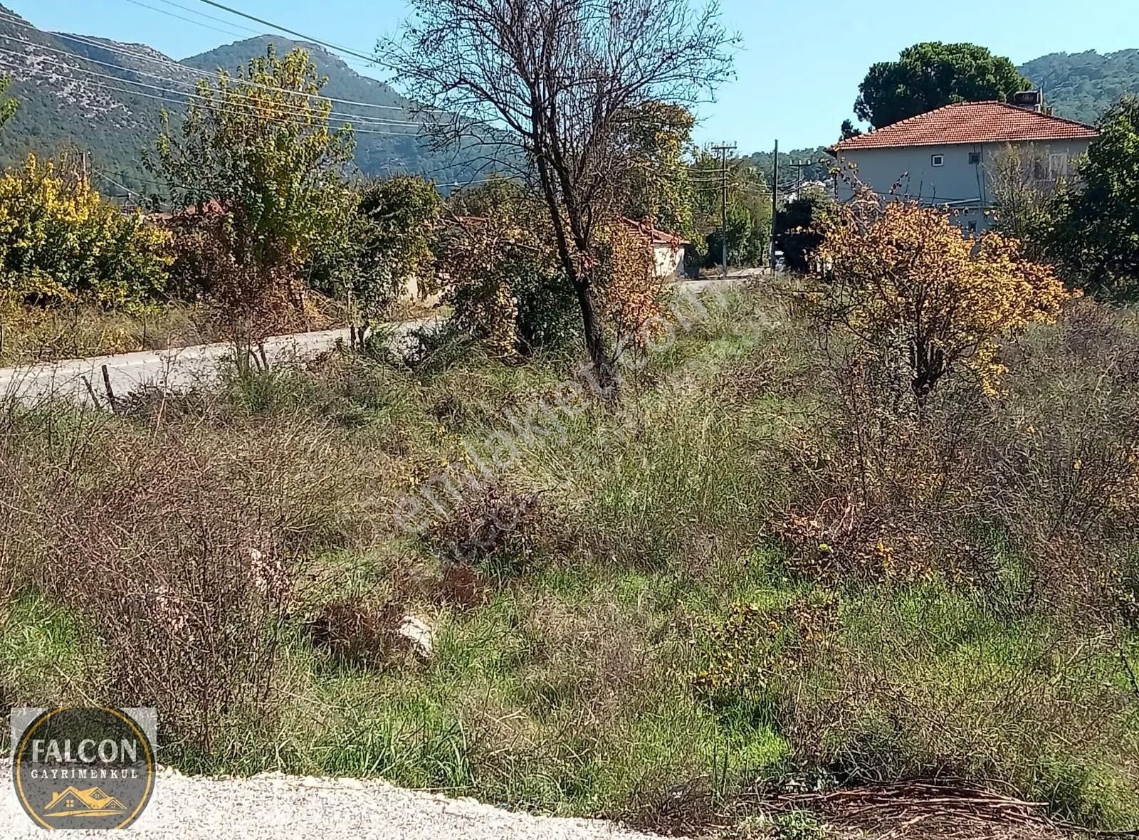 Falcon Dan Üzümlü De Fırsat 918m²15/30 İmarlı Arsa - Görsel 9